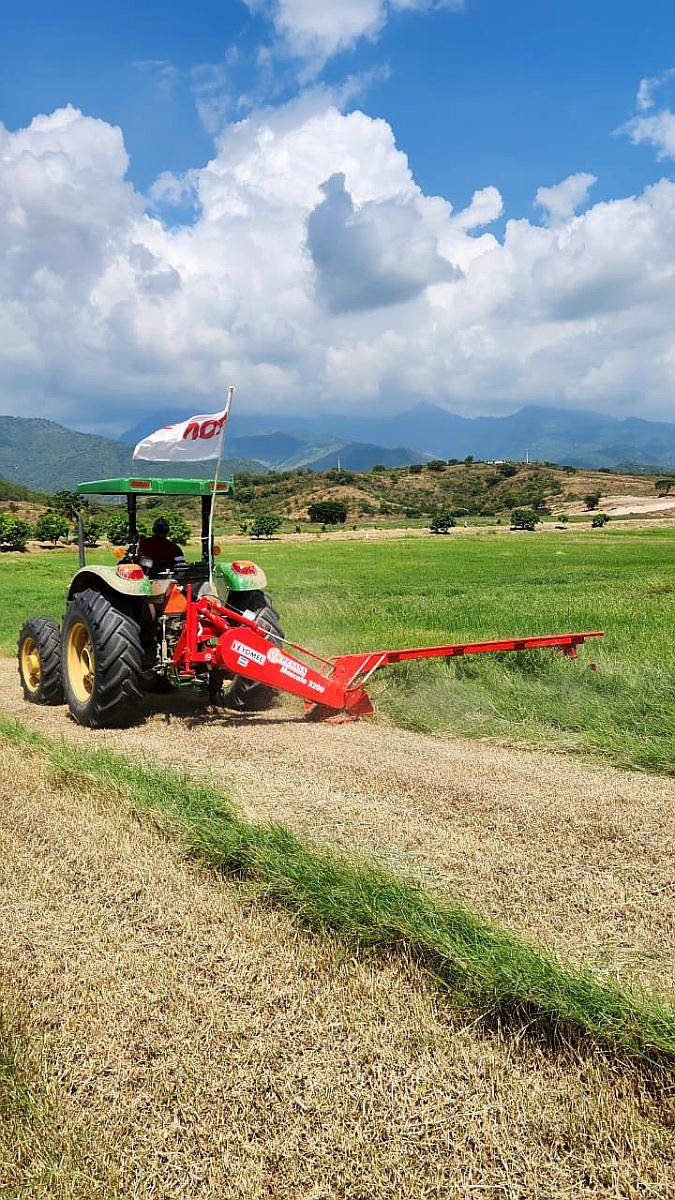 Segadora Yomel - Moscato 3200 - 3 Pts - sin Acondicionador