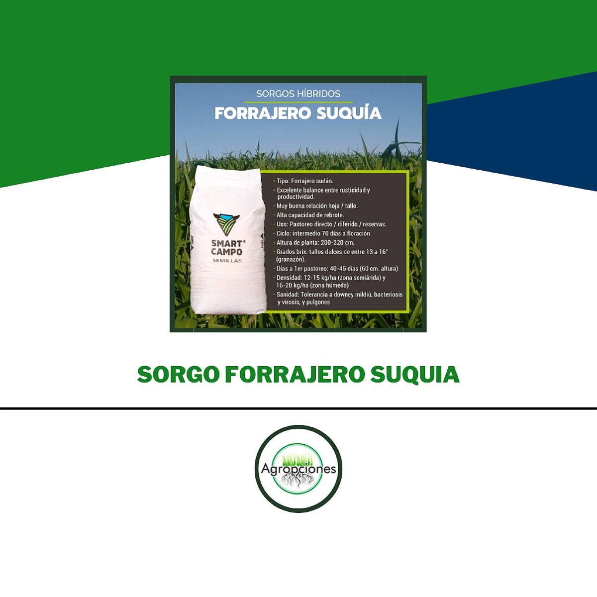 Semilla de Sorgo Forrajero Suquia