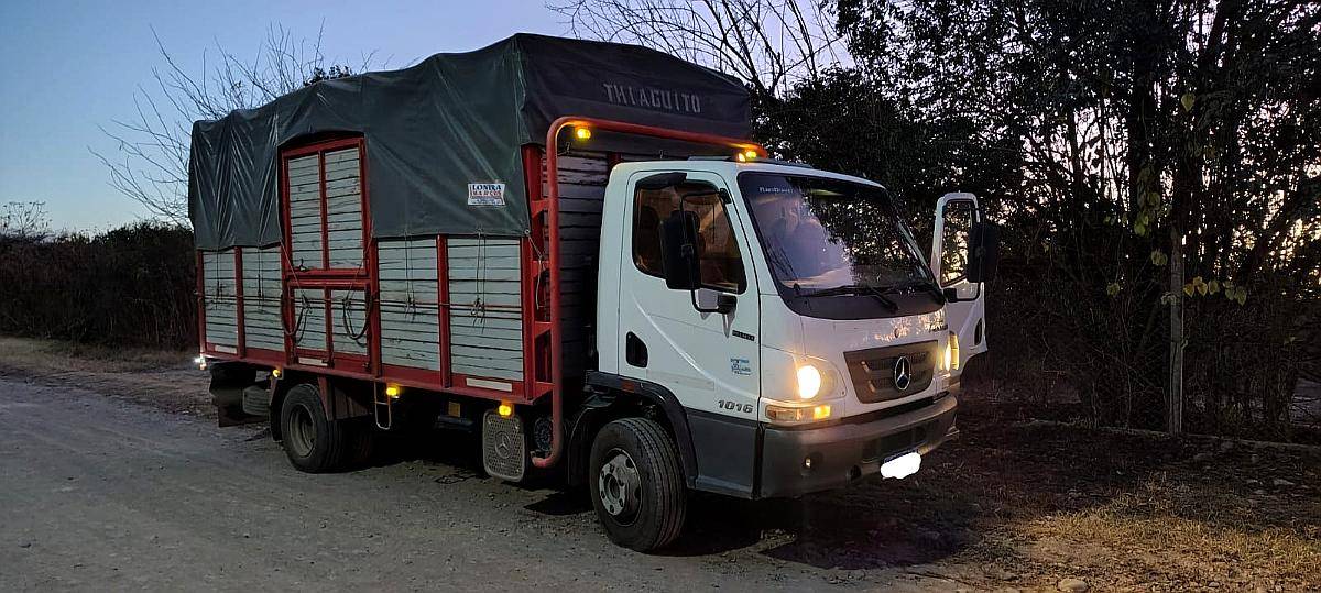 Mercedes Benz Accelo 1016 (2021)