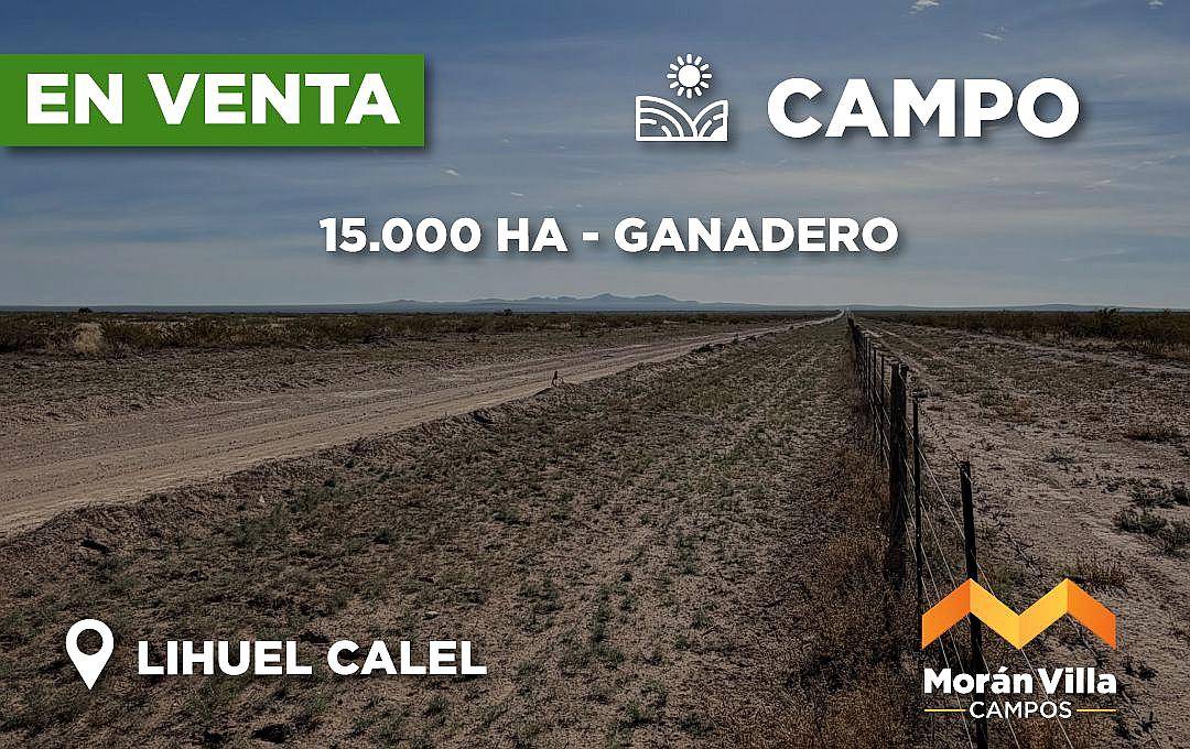 15.000 Ha Ganaderas en Lihuel Calel