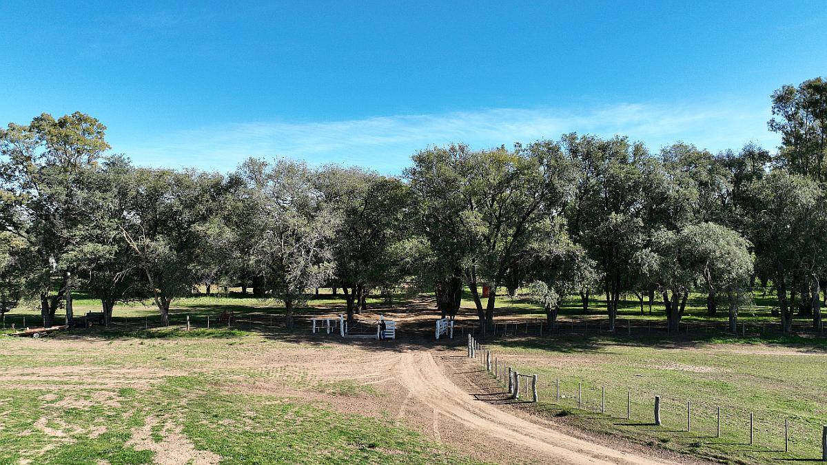 3780 Has. Campo Mixto S/ Ruta en Alpachiri, la Pampa