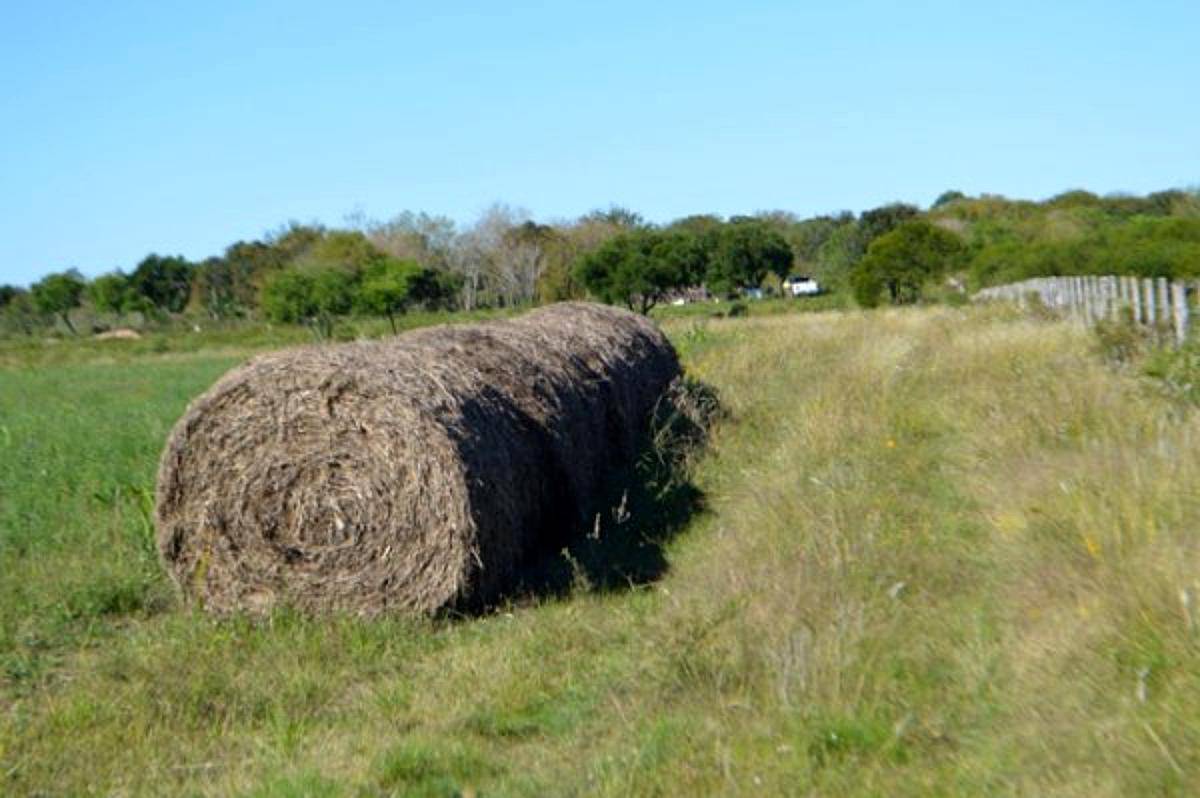 16 HA. Sobre Autovía 14 - Concepción del Uruguay (er)