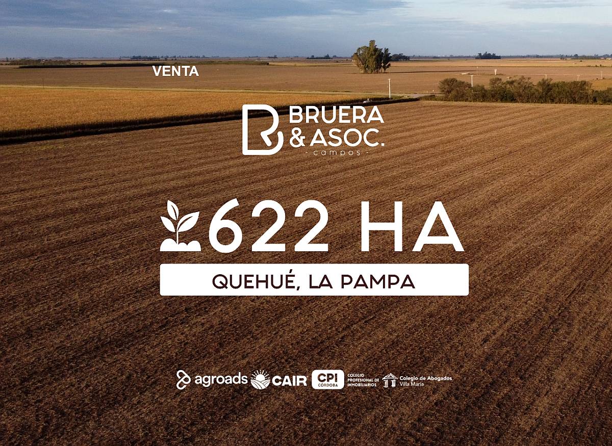 Campo 622 Hectáreas - Quehué la Pampa