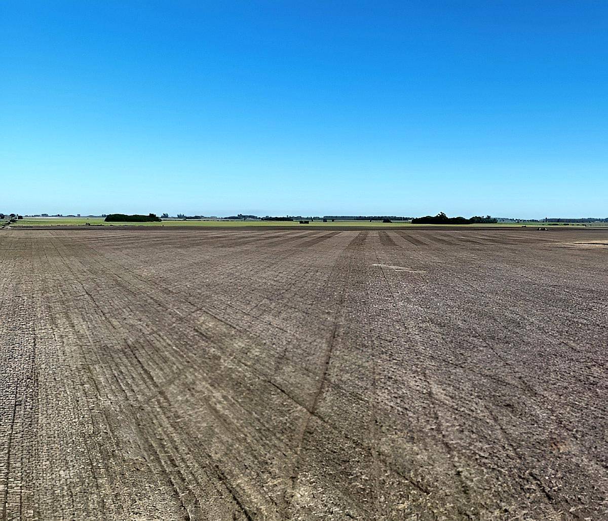 60 Ha Alem, Prov. de Buenos Aires