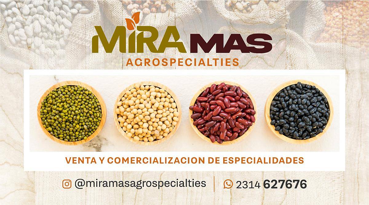 Todo Tipo de Especialidades (garbanzo, Porotos, Lino, Etc.)