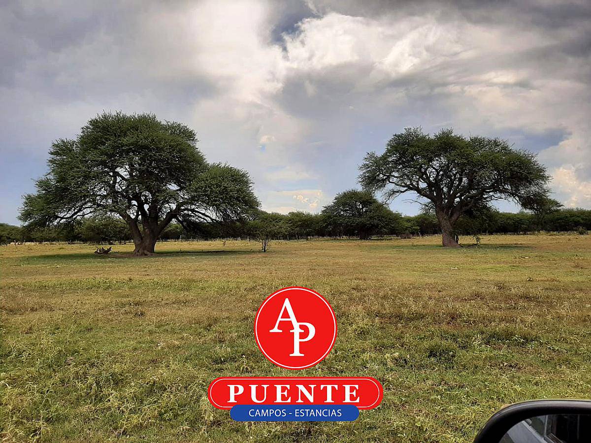 En Venta 750 HA. Chamaicó, la Pampa