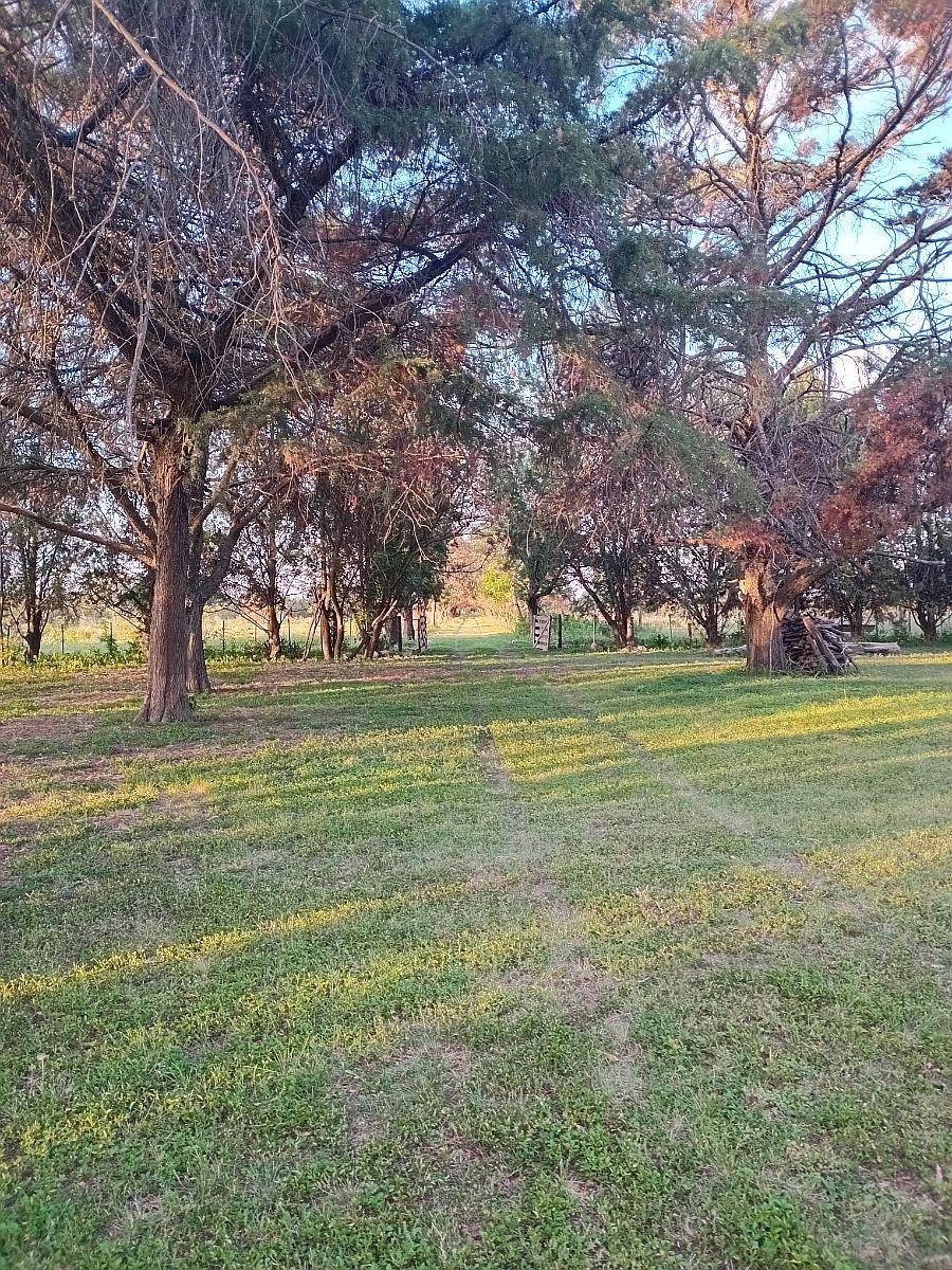 Dueño Vende Finca en Córdoba (ischilin) Argentina.