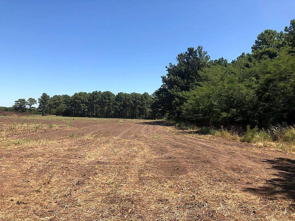 22 Ha Arboladas en Andino