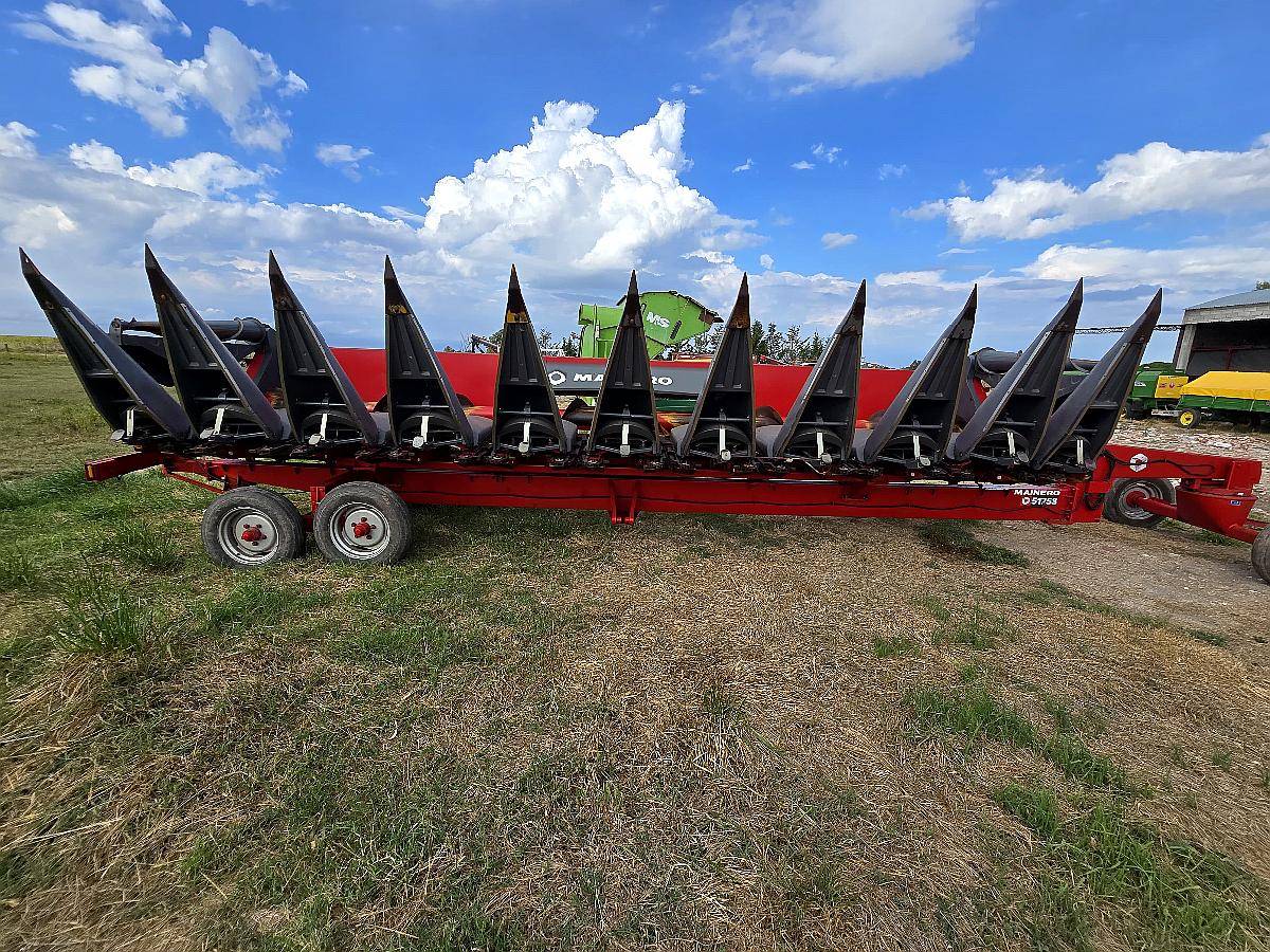 Maicero Mainero 2008 de 10 a 70