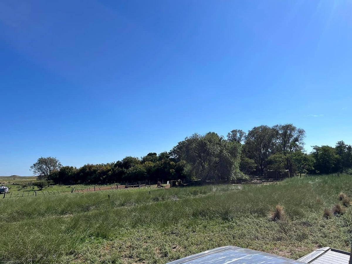 Establecimiento 2580 Ha Venta