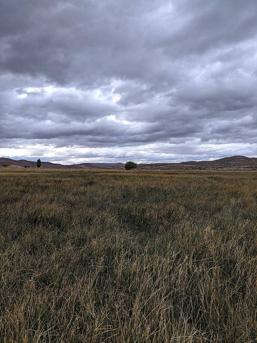 👉 “venta de Campo 2500 Has – Ñorquinco, Río Negro – con CAS