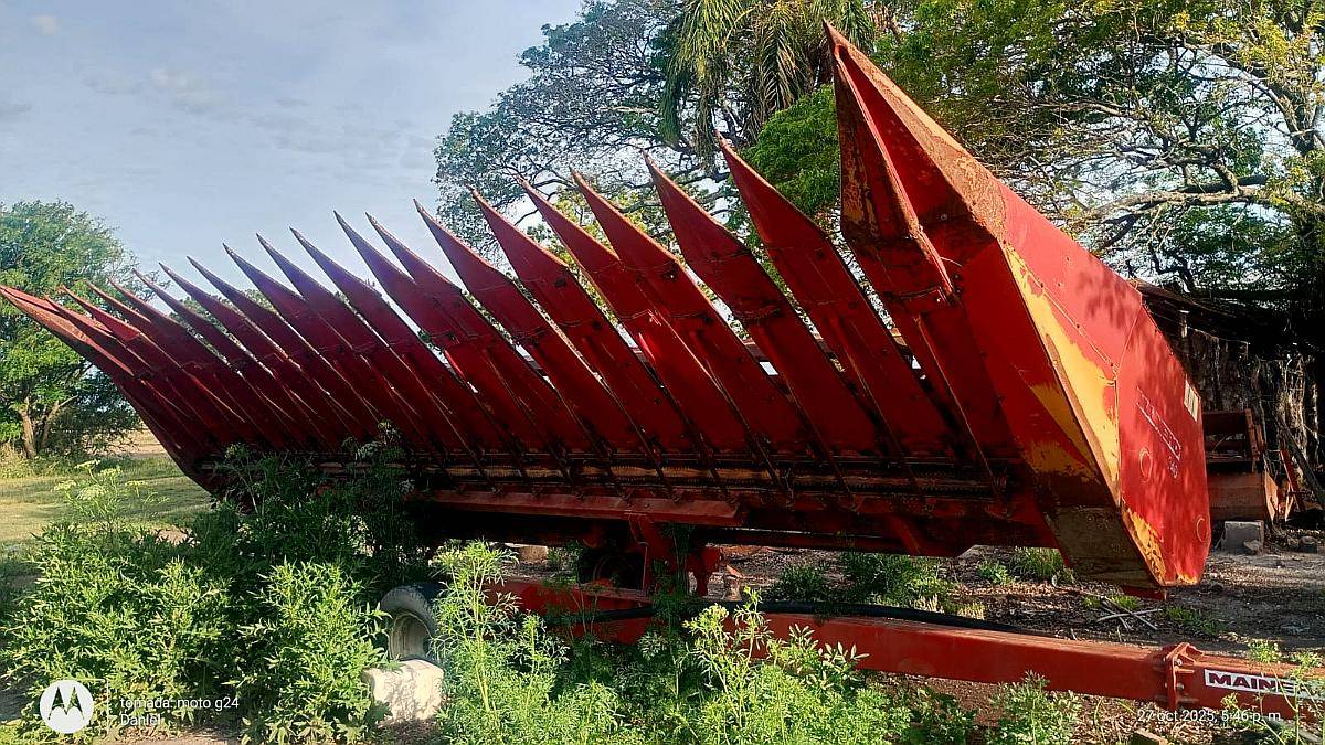 Girasolero Mainero 1040 de 10/70