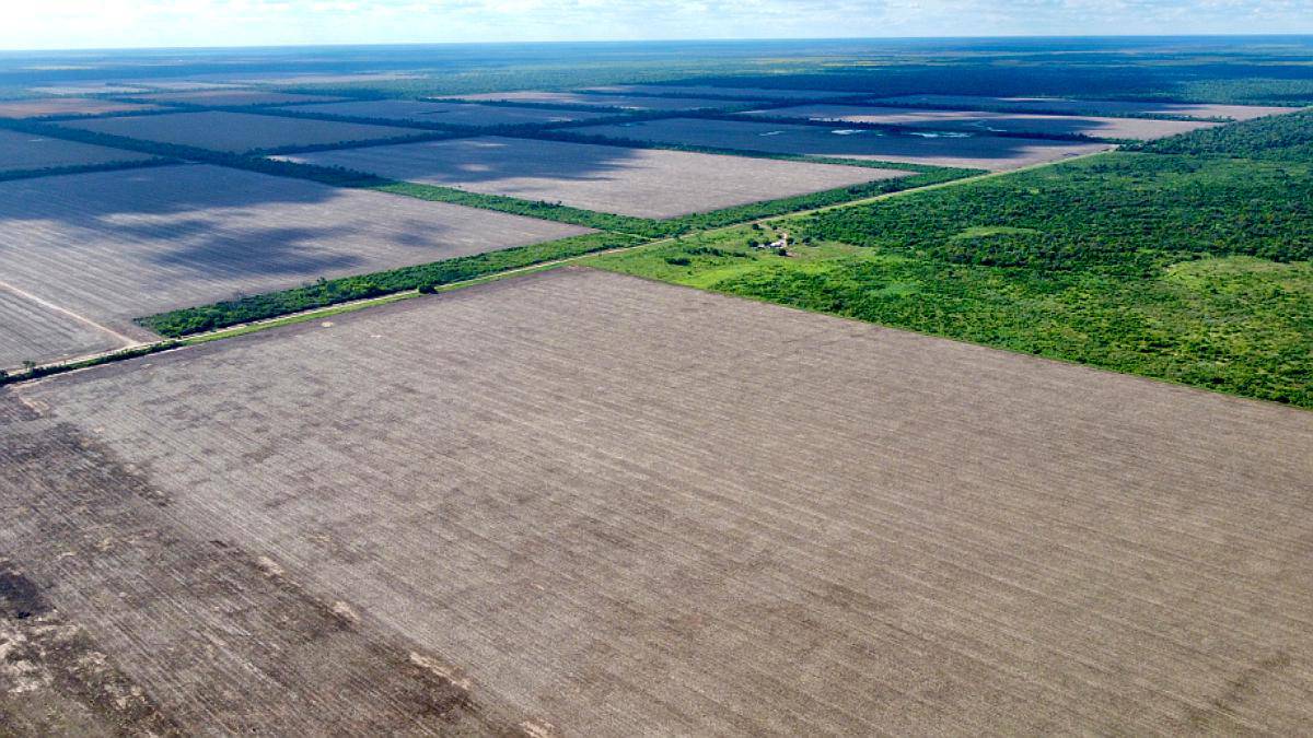 282 Has en Venta - Tres Isletas, Chaco