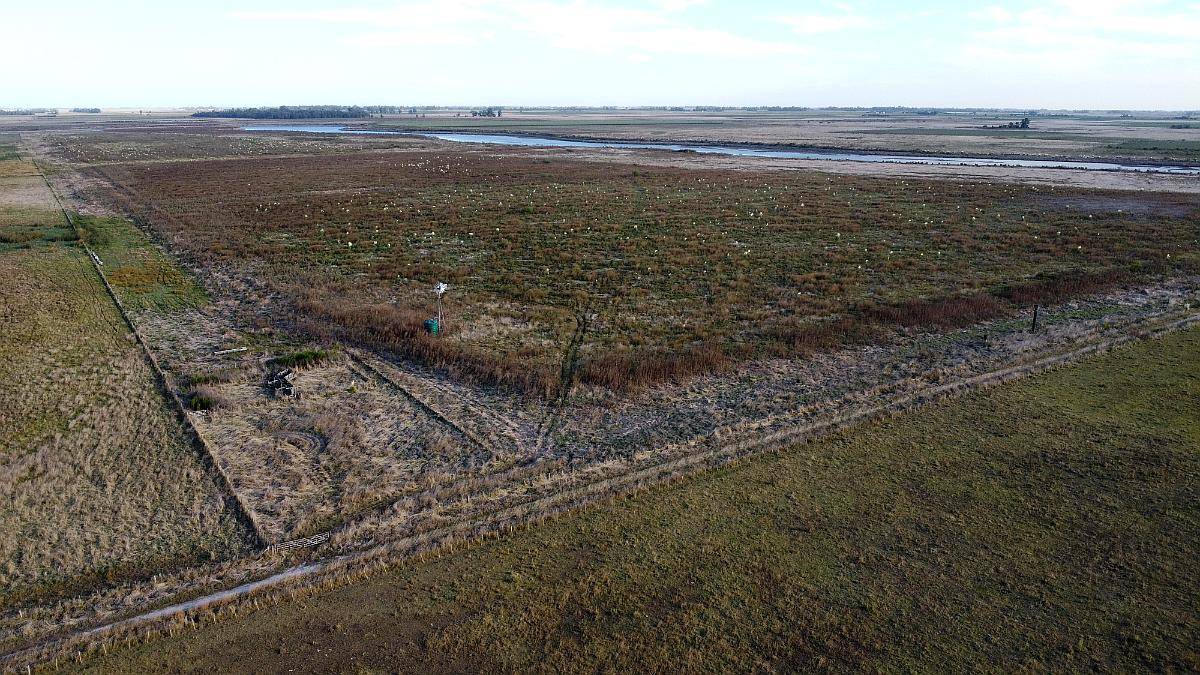 Salvador Maria, Lobos (bs. As.): 130 HA. Contra el Salado
