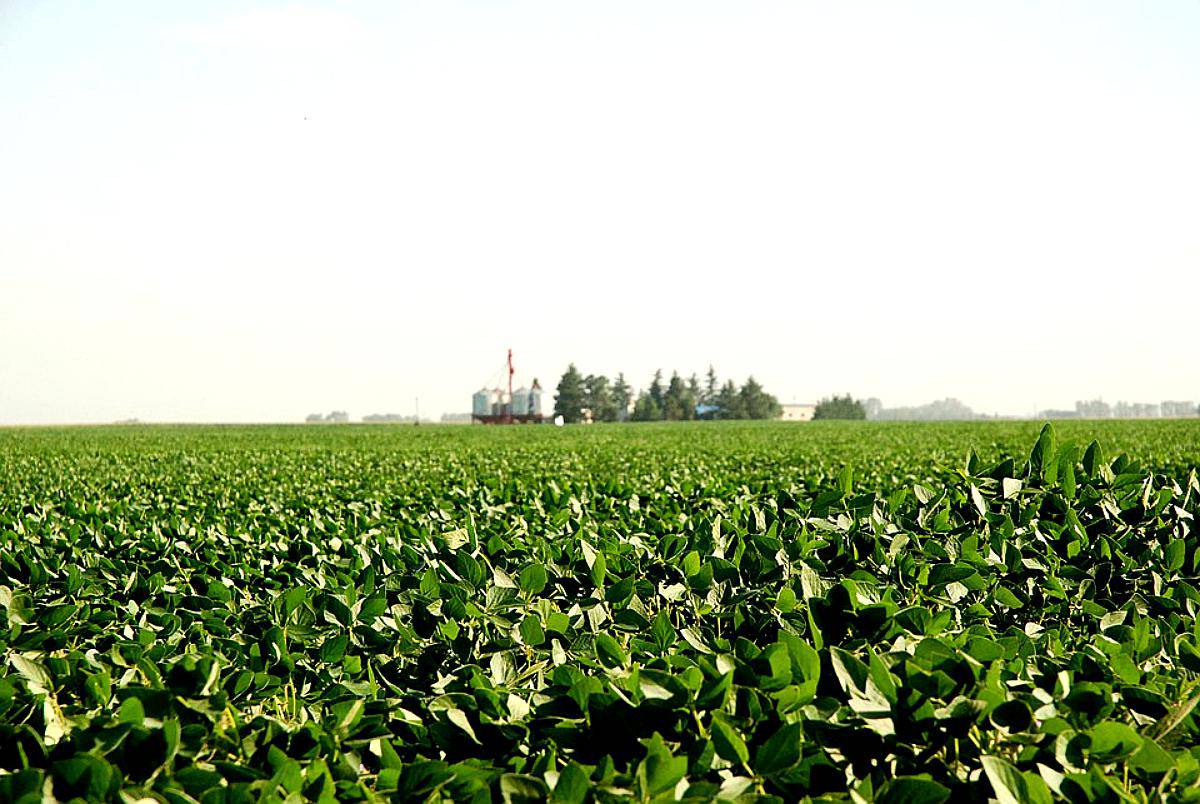 Vendo Campo en Corralito