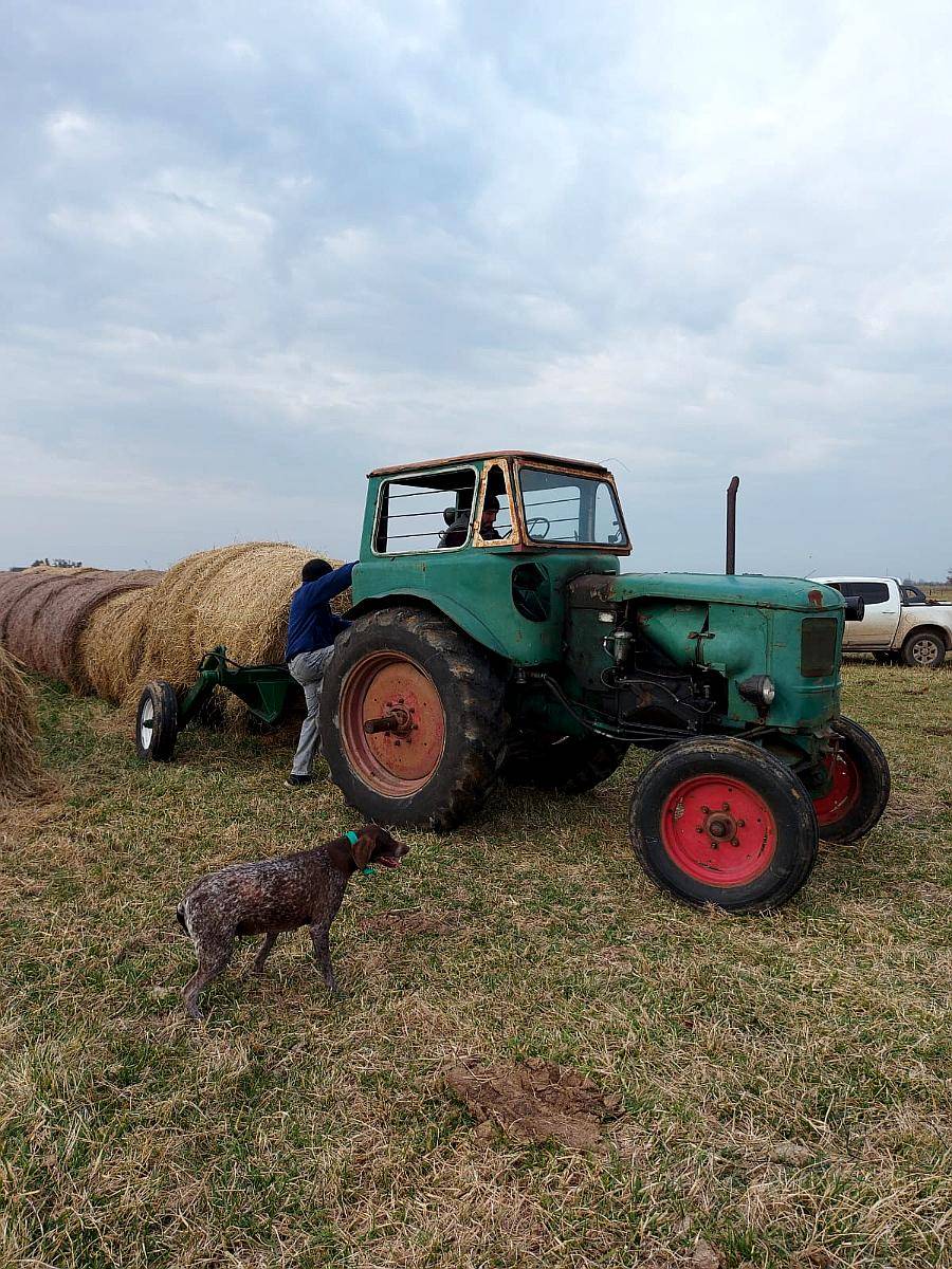 Tractor Deutz 55 Traccion S