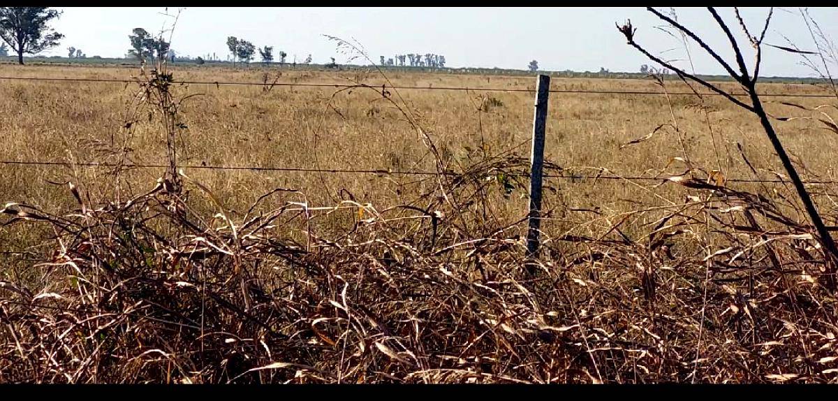 Se Venden 470 Has Zona Elisa Mixtas