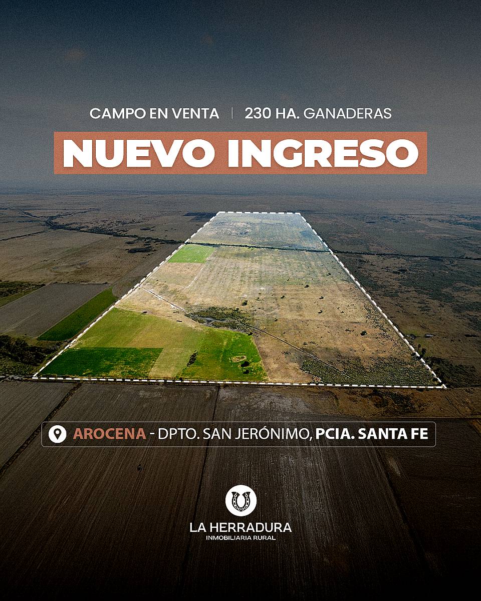 Arocena 230 Has Ganaderas. Instalaciones. Campo en Venta