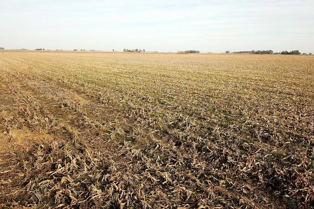 San Enrique 137 Ha 25 de Mayo BS. AS.