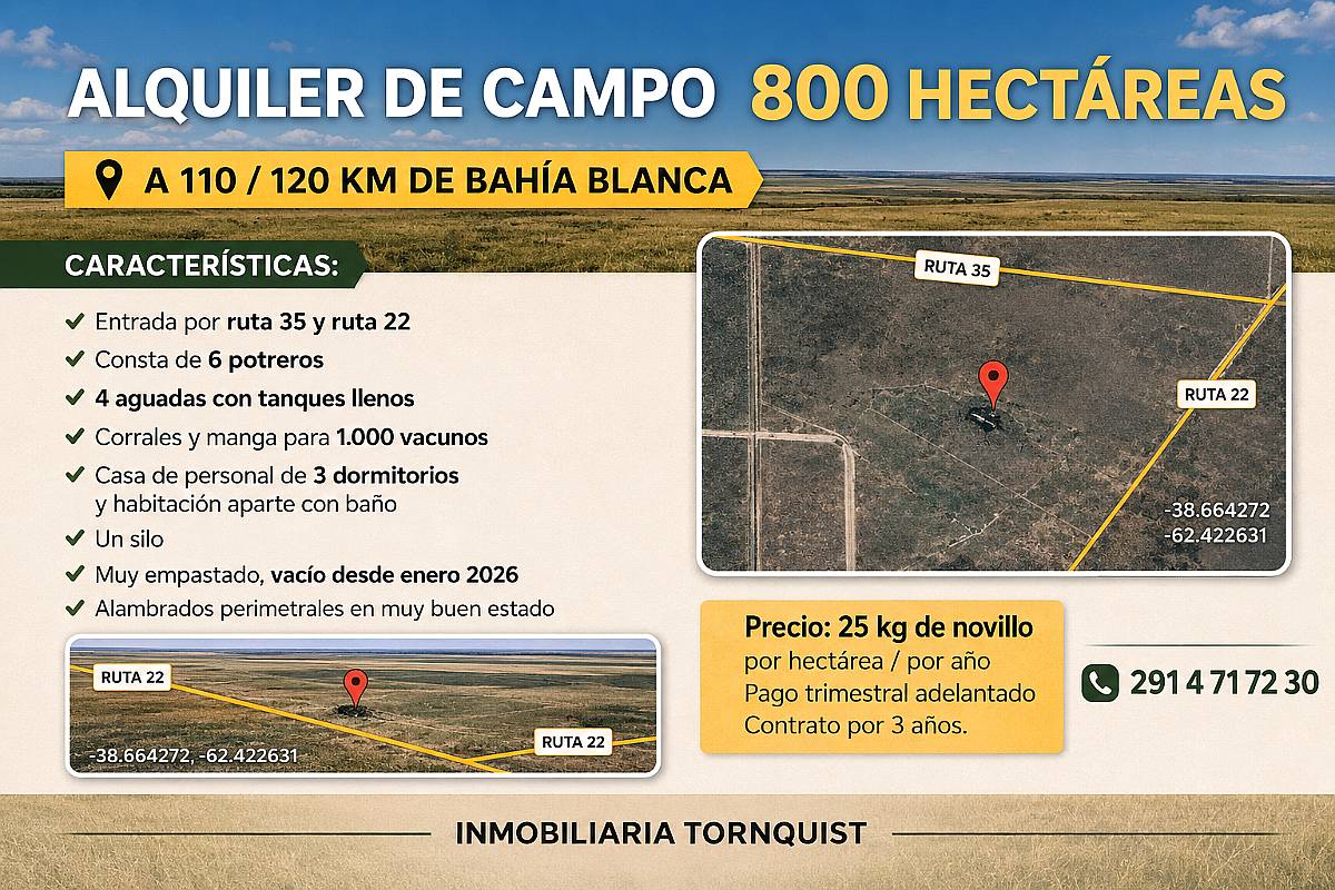 Alquilo 800 Has Ganaderas a 25kg al SUR de Puan