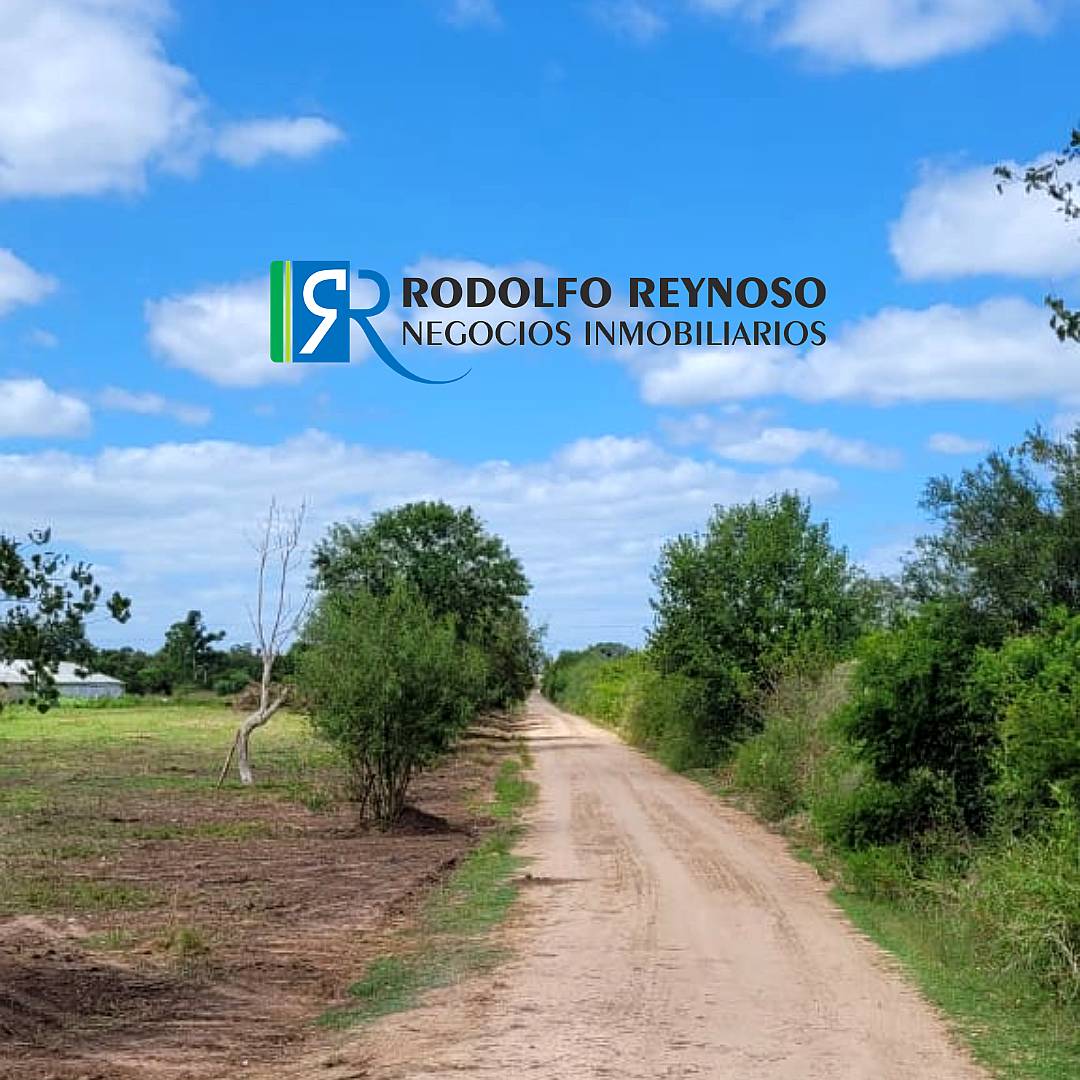 Lote en Venta – Autovía Ruta 14 Colón