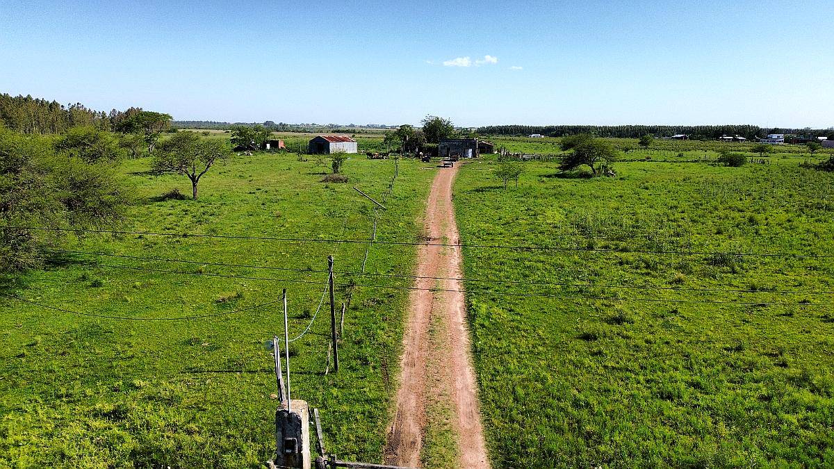 Vendo Campo 20 Has en Ruta 39 Concepción del Uruguay Entre R