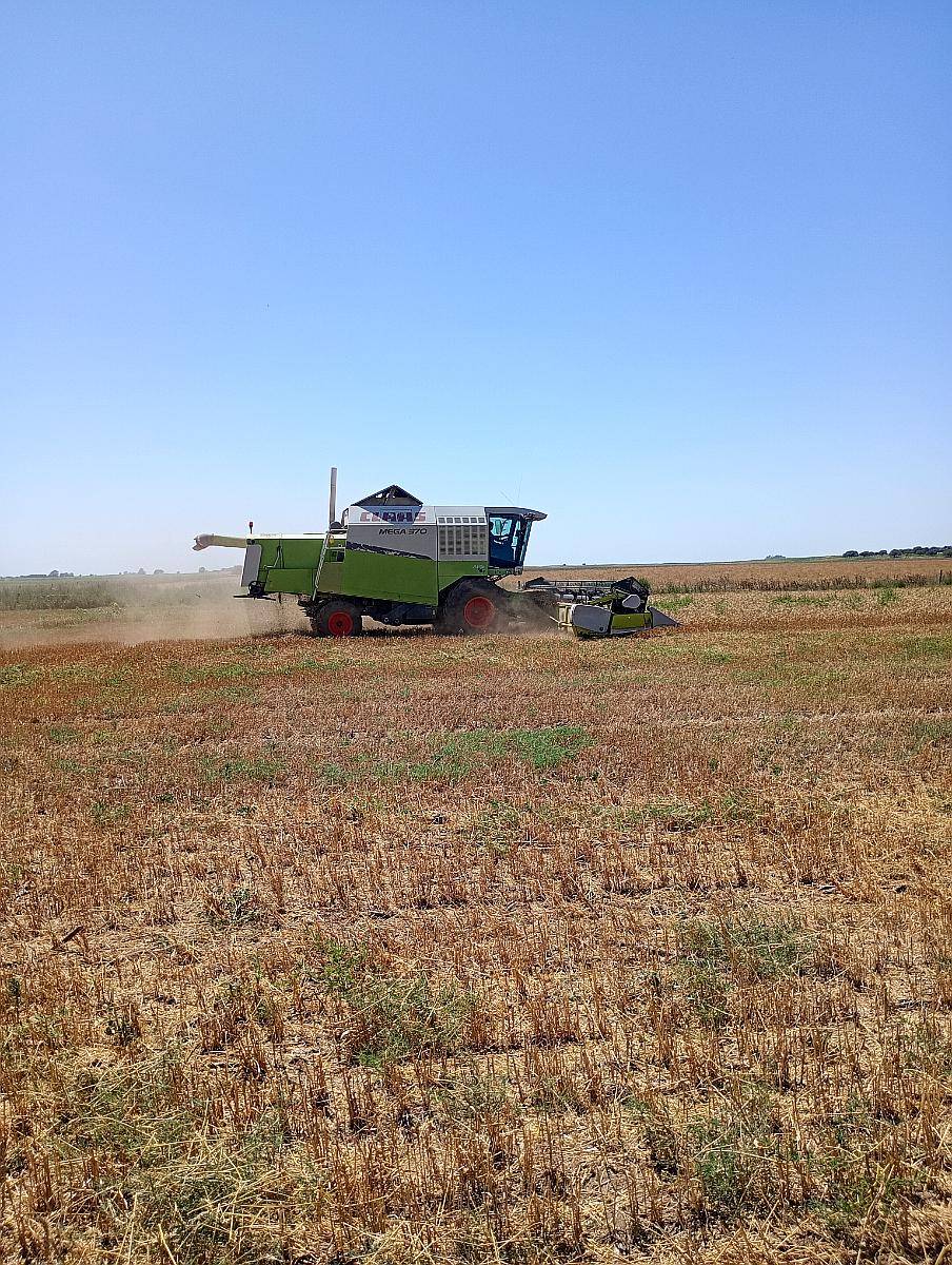 Máquina Trabajando con Detalles