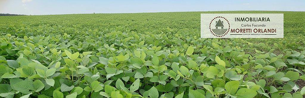 16 Ha Hernández Entre Ríos Campo Agrícola