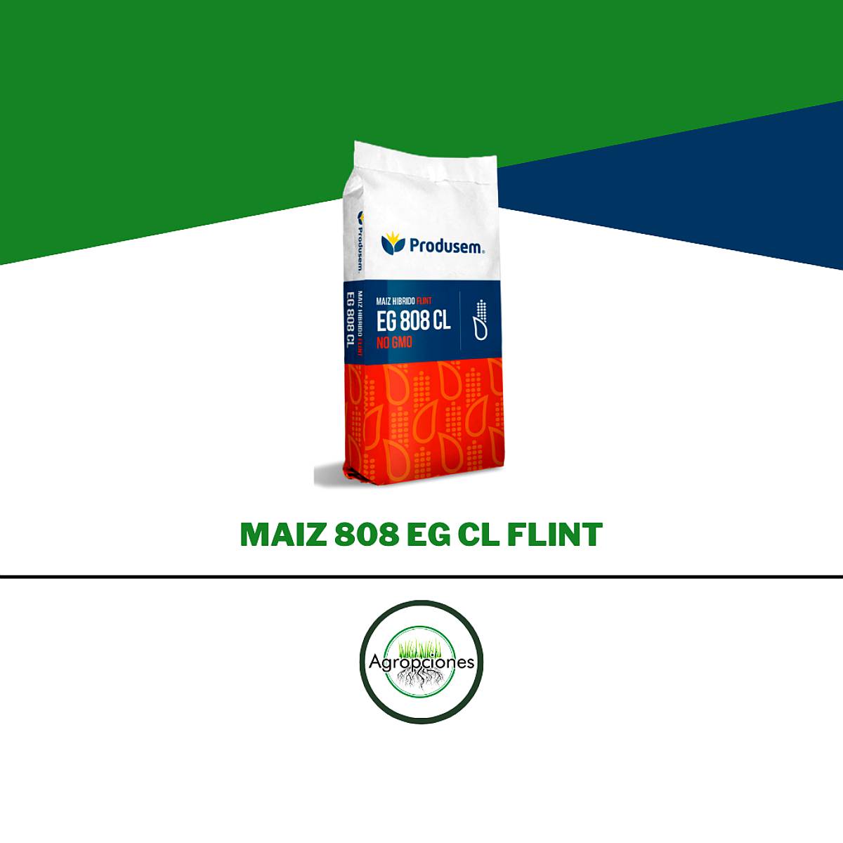 Semilla de Maiz Flint EG 808 CL NO GMO - Semillero Produsem