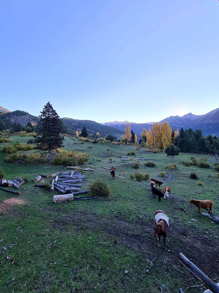 Venta Campo 291 Hectareas en Lago Rivadavia Cholila Chubut