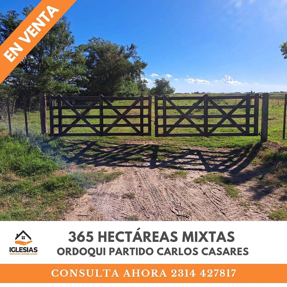 365 Hectáreas Mixtas en Ordoqui