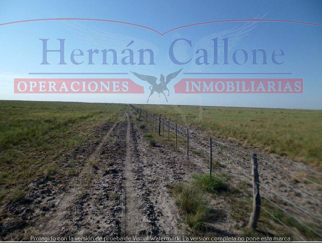 Campo Ganadero 5560 Ha en SUR de Santiago del Estero