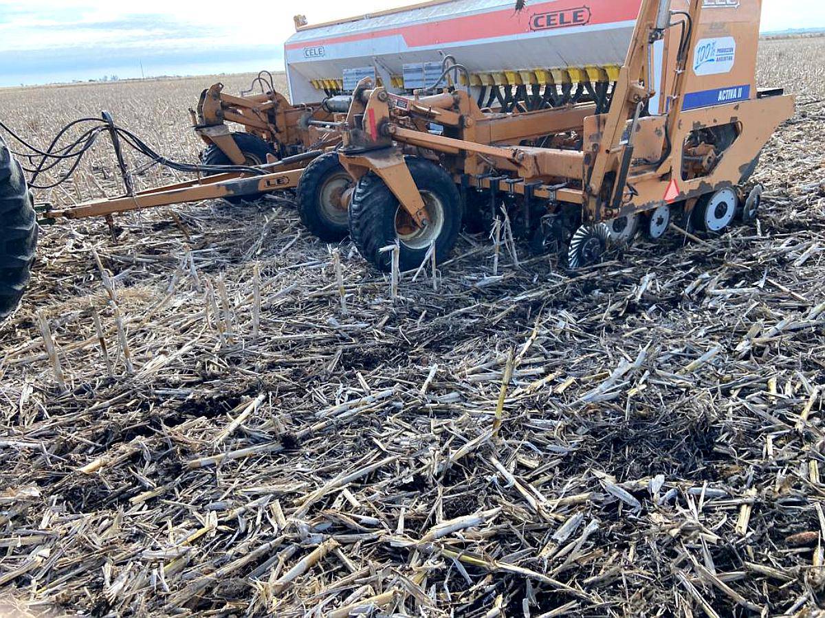 Sembradora Cele Activa II de 31 a 17,5 cm con Kit de Gruesa