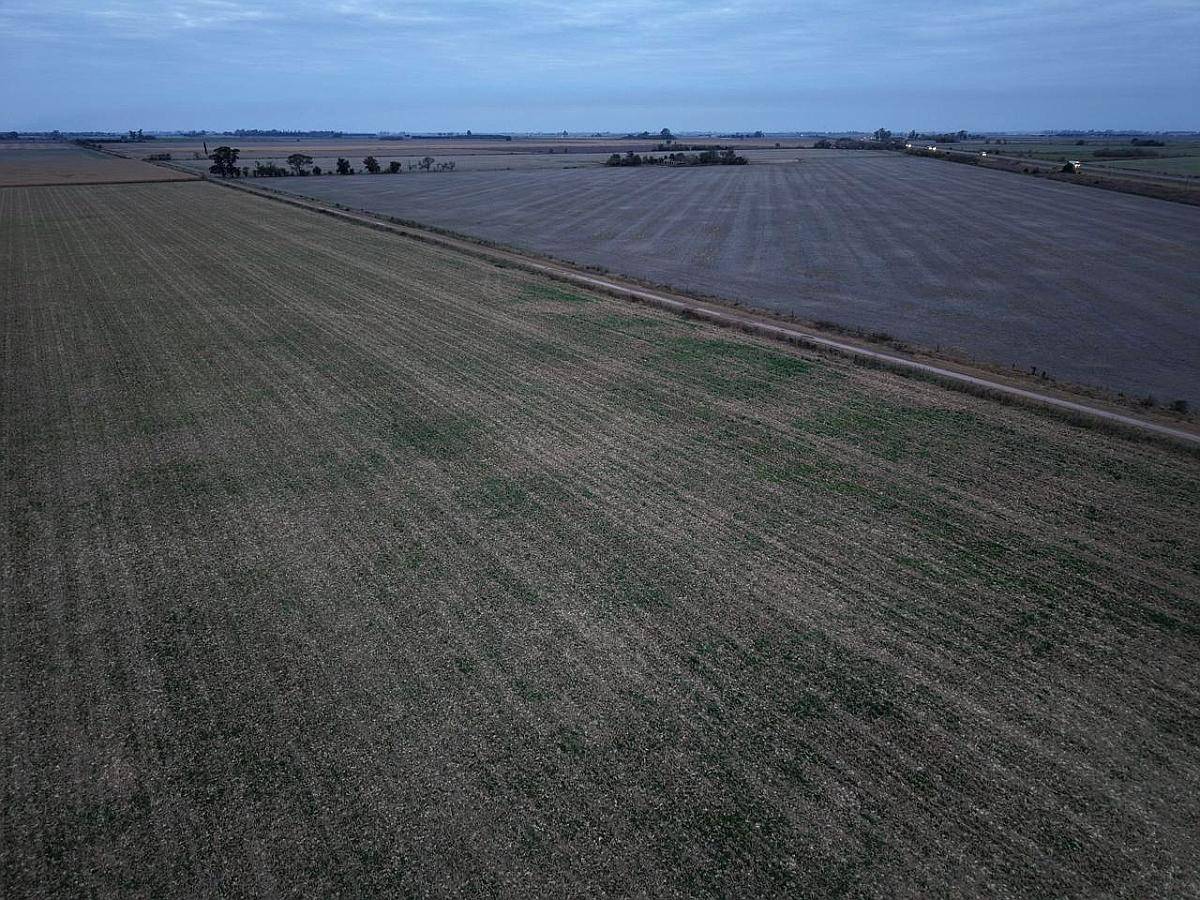 40 HA. Suelo Clase 1 Sobre Ruta. San Genaro (santa FE)