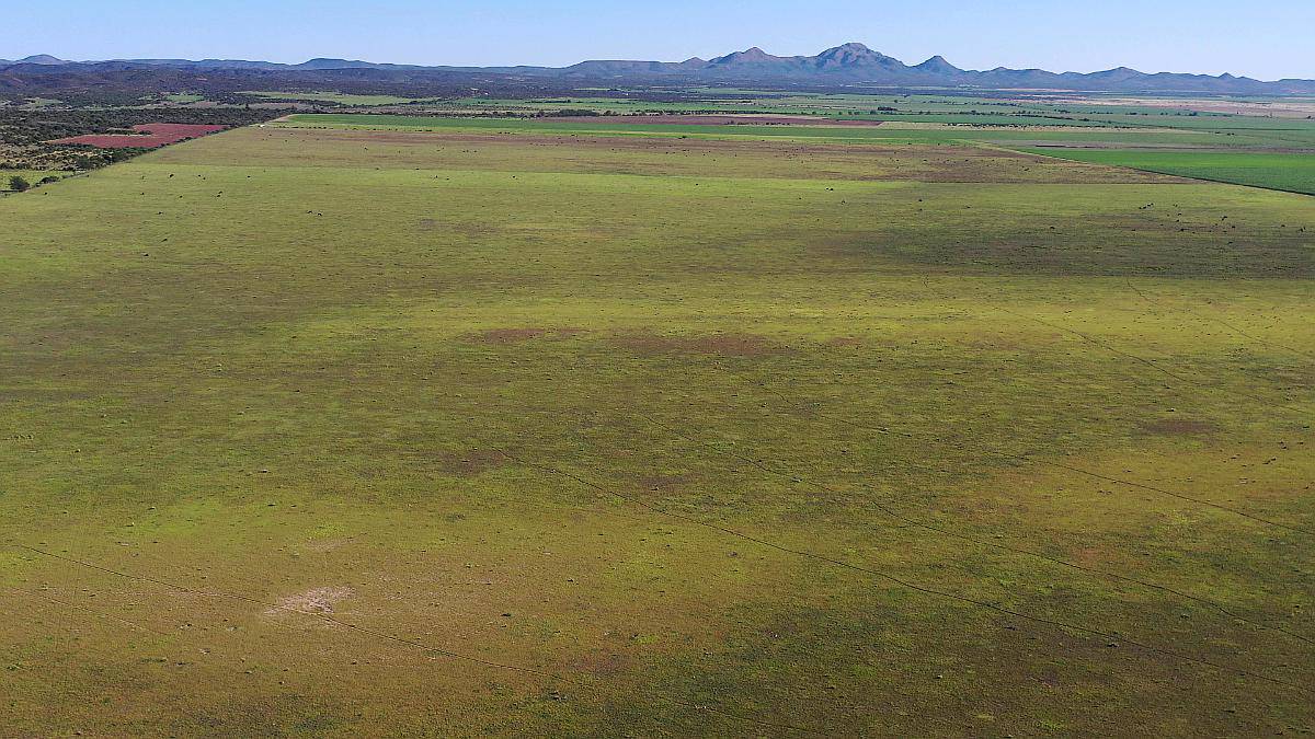 Córdoba Pocho 100 Has Agrícolas