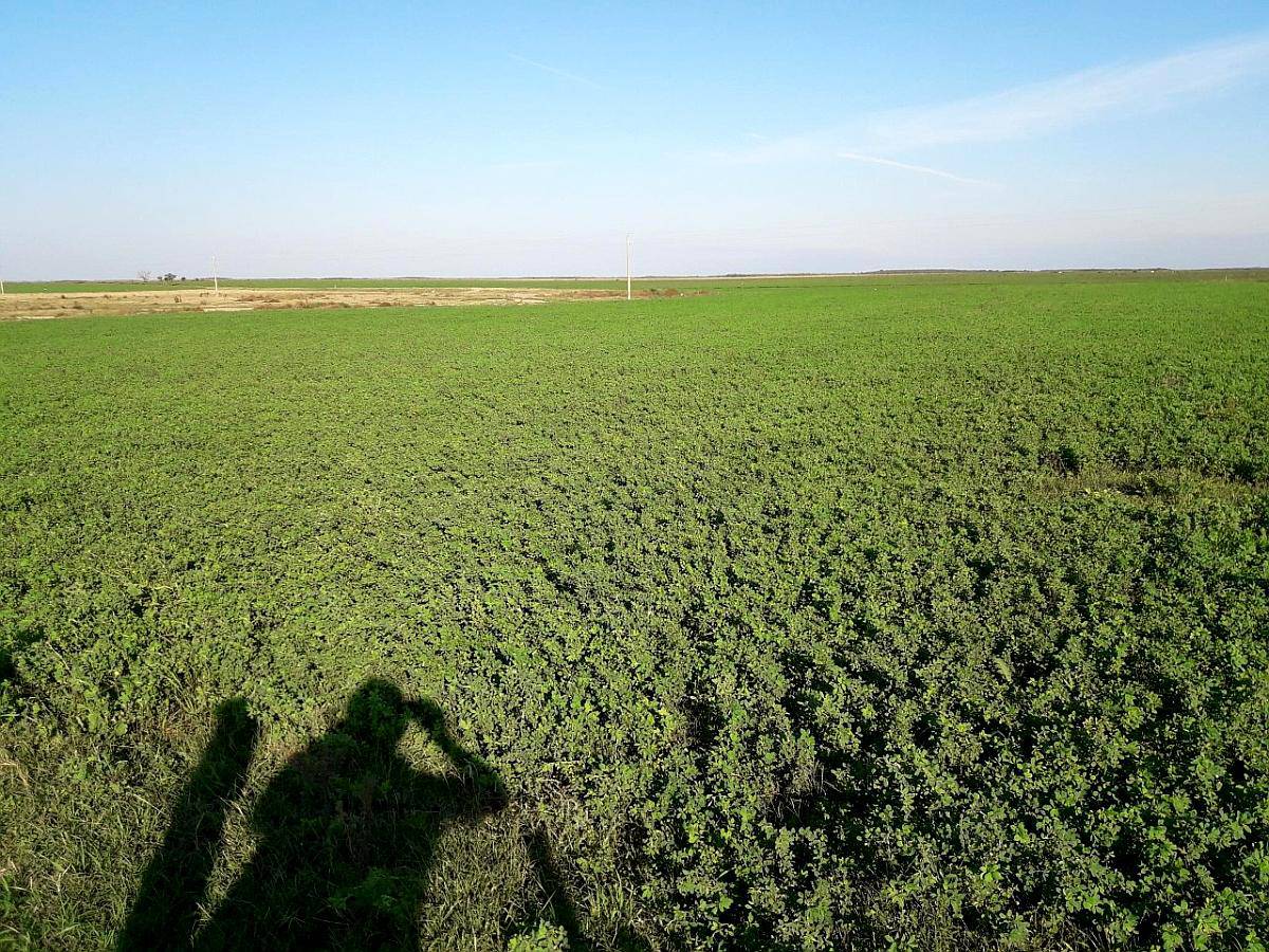 Exelente Campo Ganadero en Germania