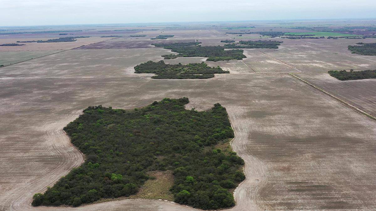 Chaco Hermoso Campo al SUR Este 400 Has