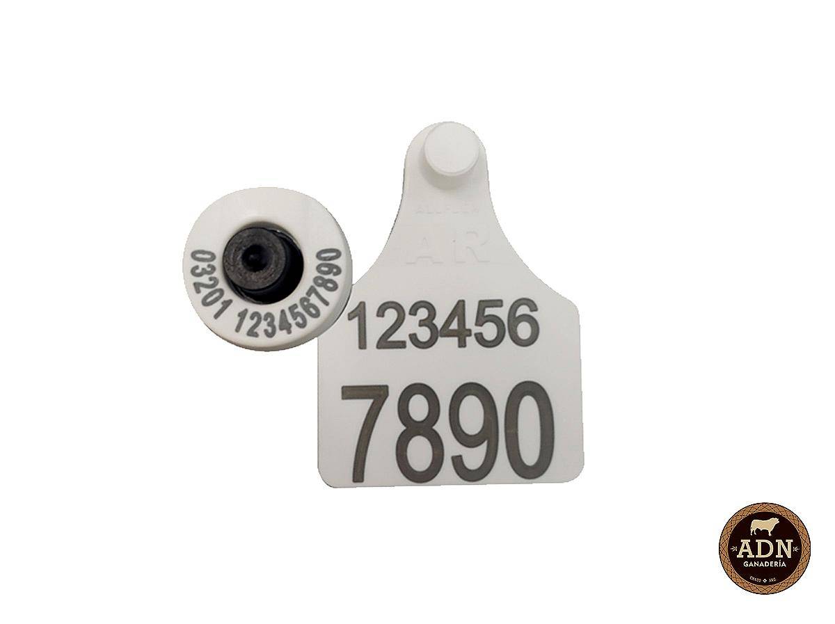 Caravana Electronica. Oficial Senasa. Binomio