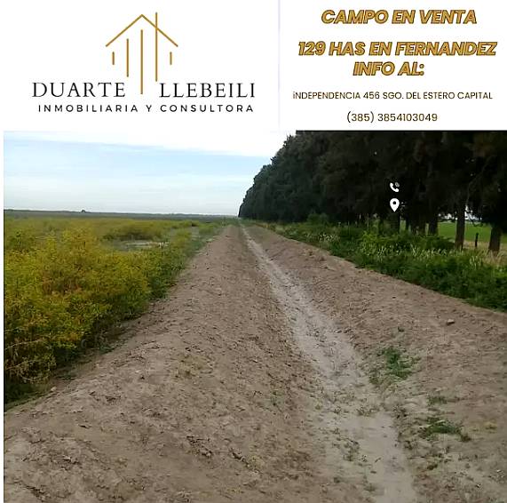Campo 129 Hectáreas en Fernández Santiago del Estero