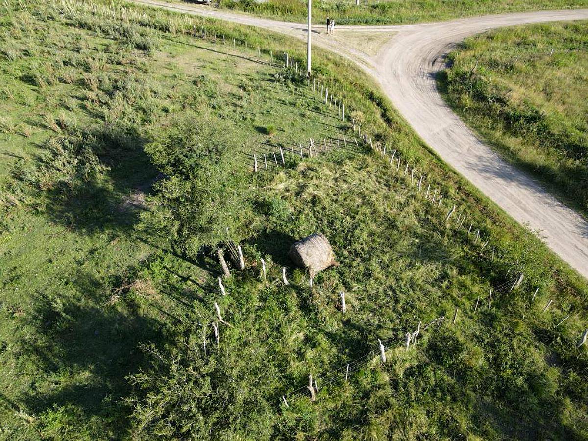 8 Ha Agrícolas Nogoyá