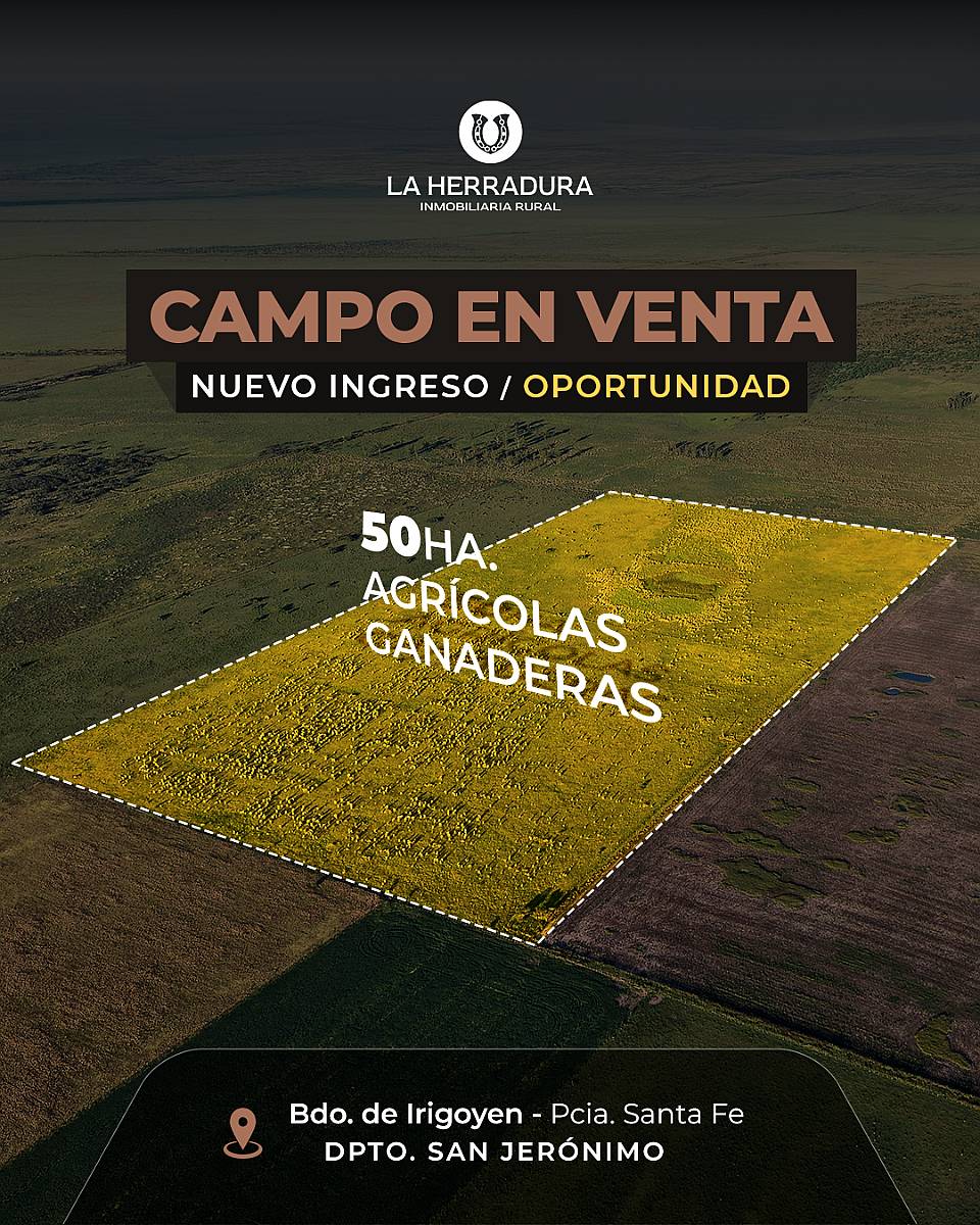 Bdo de Irigoyen 50 Has. Agrícola-ganadero. Campo en Venta.