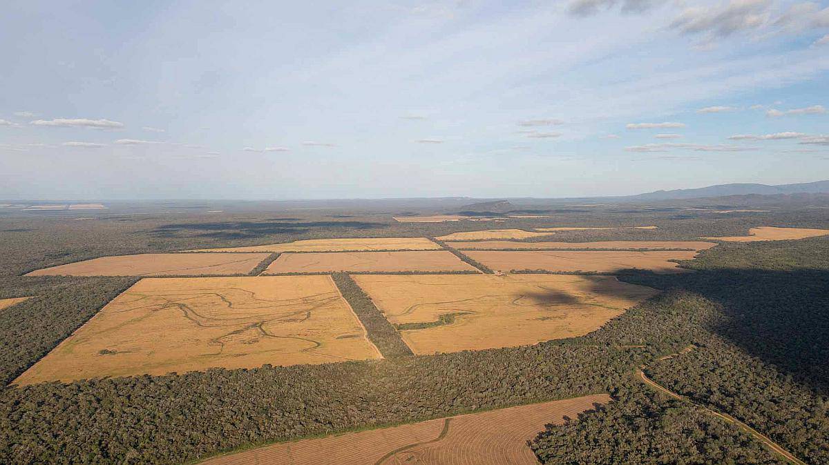 Pcia. de Jujuy - Viñalito 19850 Has