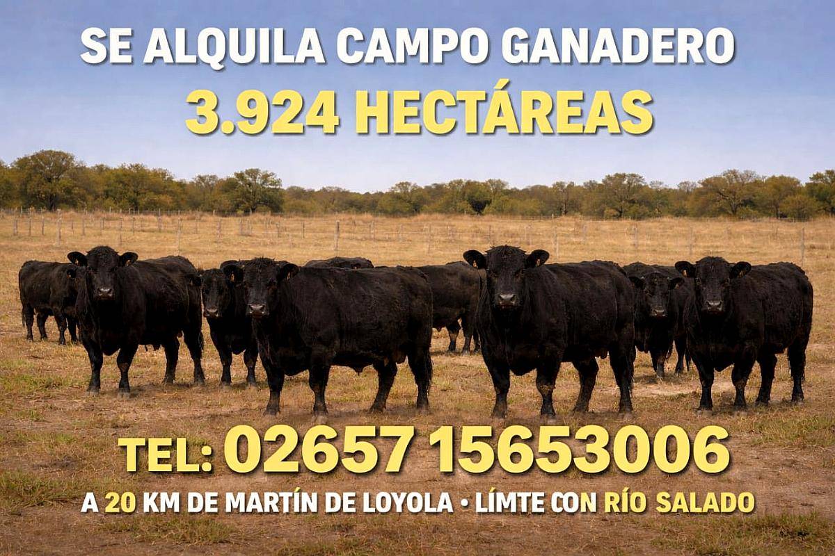 Campo en Alquiler en la Provincia de San Luis Exclusivamente