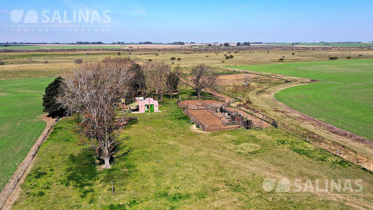 310 Has - Campo Mixto de Relive Ondulado