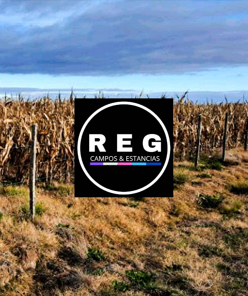 390 Hectareas en Quemu Quemu - la Pampa