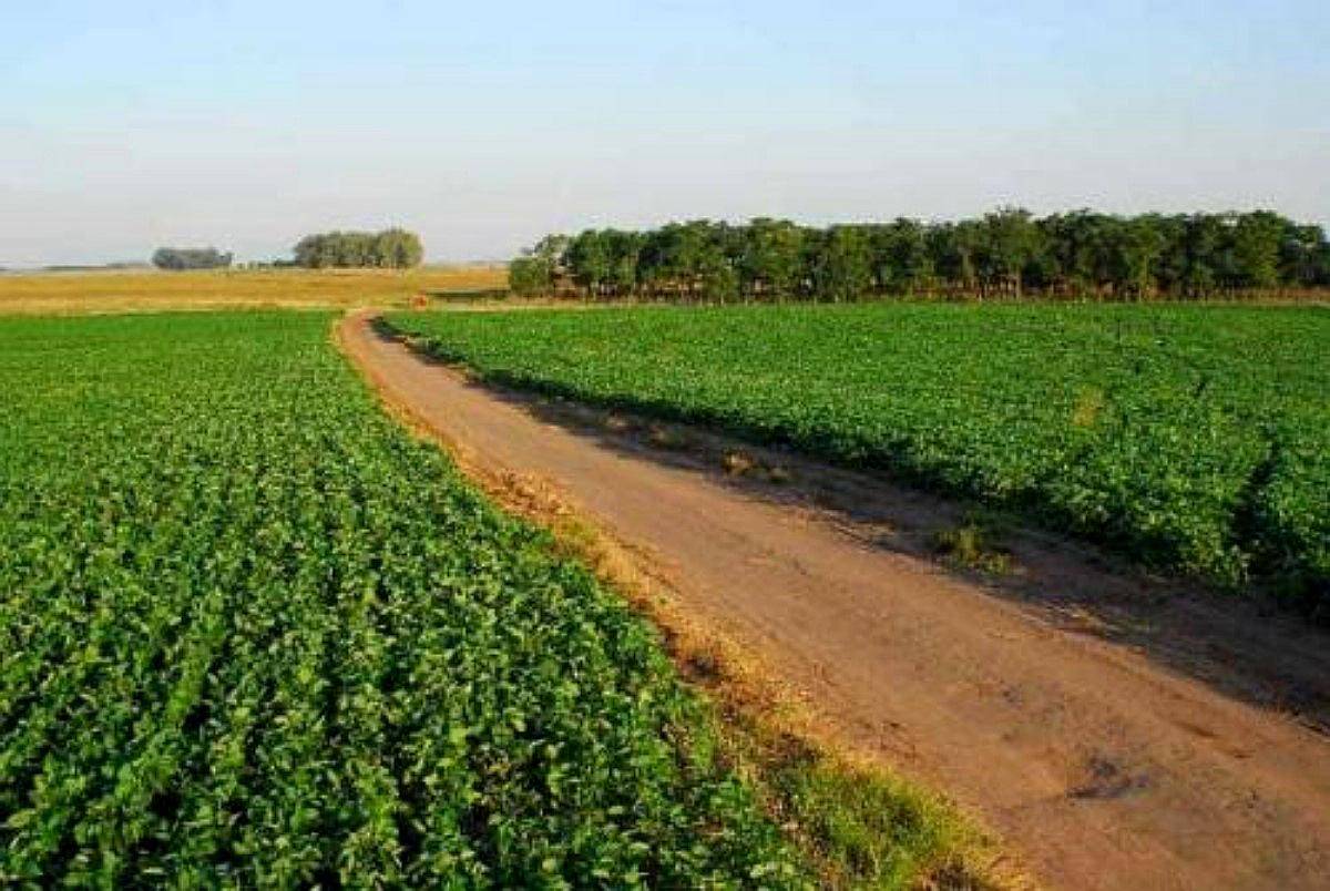 450 Has Agricolas Arroyo Barú Sobre Ruta