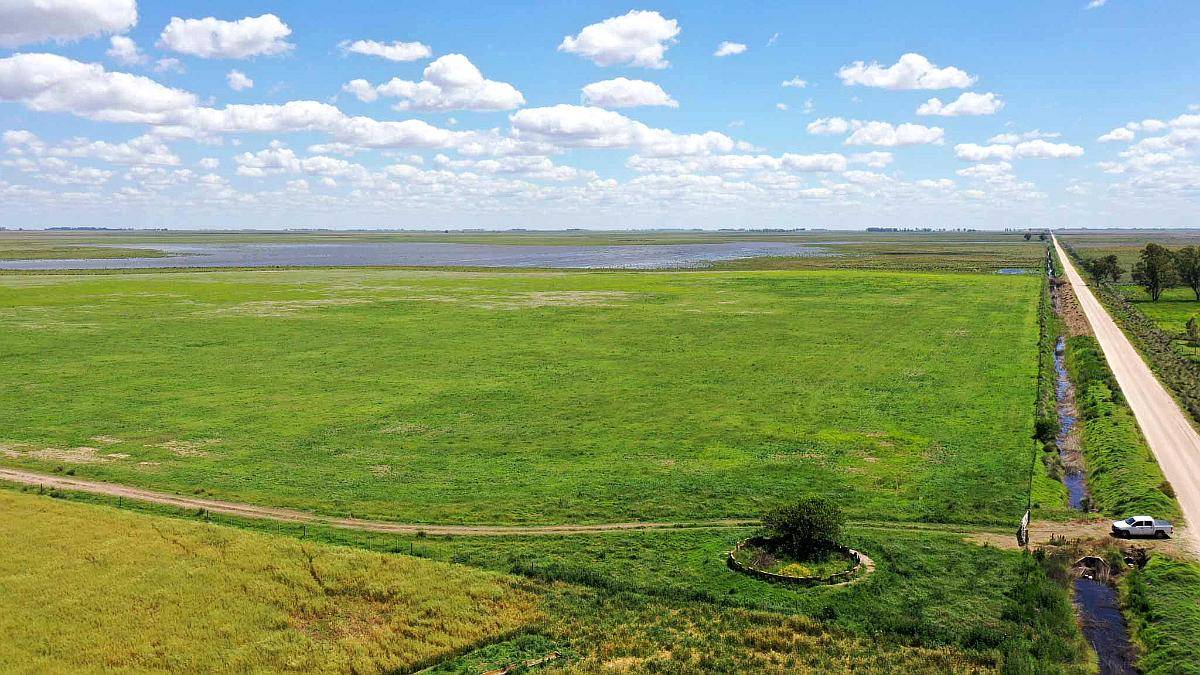 Pcia. de Buenos Aires - Cañada Seca 844 Has