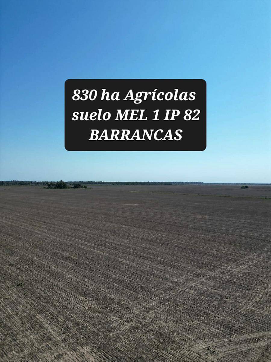 Barrancas Santa FE Agrícolas