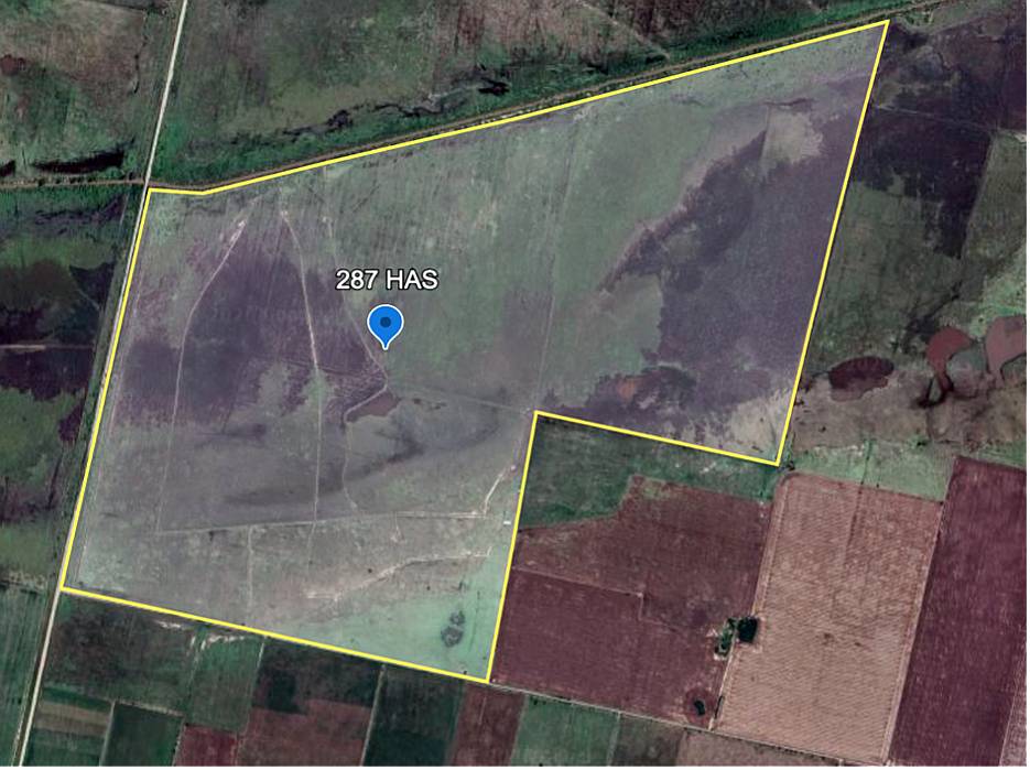 Campo en Venta Colonia Belgrano 287 Has Ganaderas