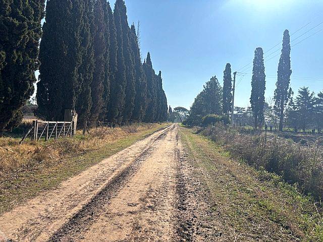 Campo de 2,5 Has en San Pedro Buenos Aires